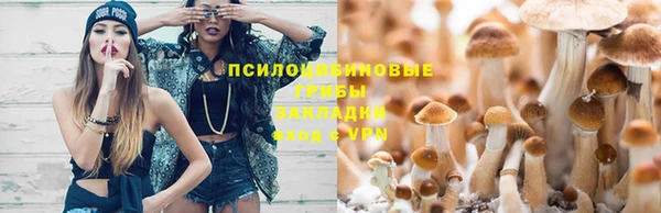 стаф Нефтекумск