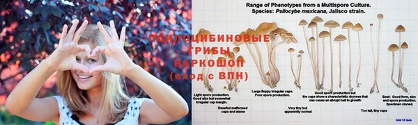 spice Новый Уренгой