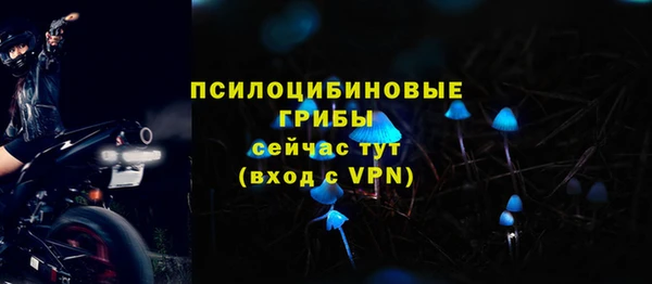 стаф Нефтекумск