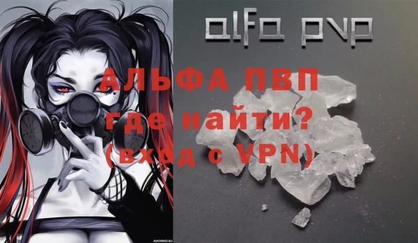 стаф Нефтекумск