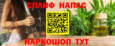 тгк Новодвинск