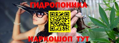 тгк Новодвинск