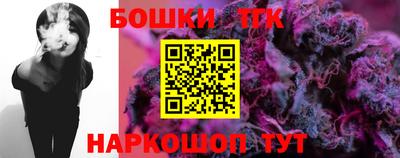 тгк Новодвинск