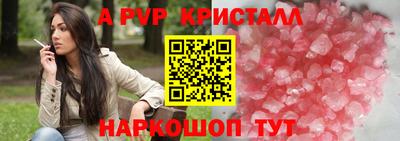 тгк Новодвинск