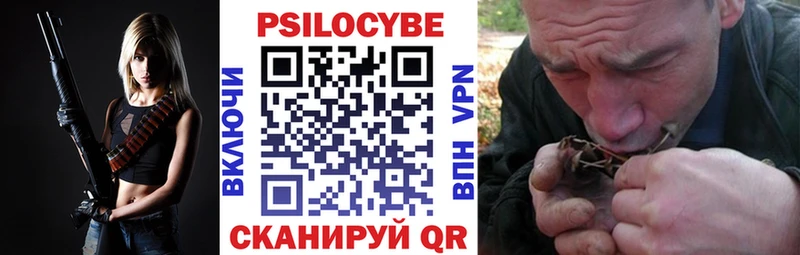 Псилоцибиновые грибы Cubensis  Сарапул 